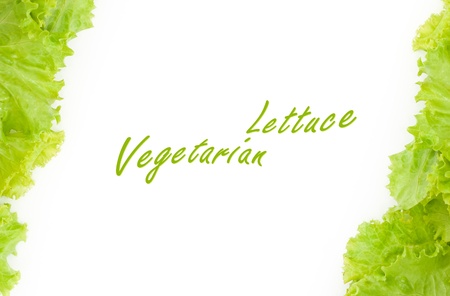 Frame of fresh lettuce on white background. Border With Vegetables.の写真素材