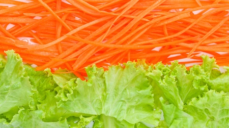 Fresh littuce and carrot.の写真素材
