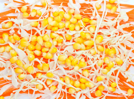 Fresh vegetables salad. Vegetables background.の写真素材