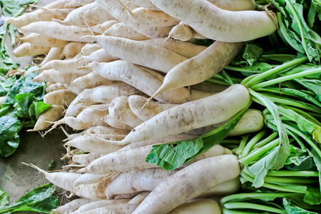 Pile of organic white radish or daikon radish.の写真素材