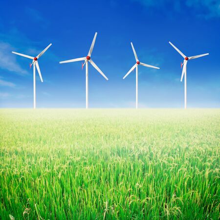 Paddy rice field. Wind turbines and blue sky.の写真素材