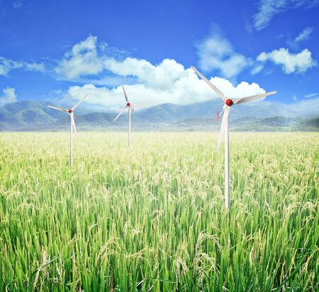 Paddy rice field with Wind turbines and blue sky.の写真素材