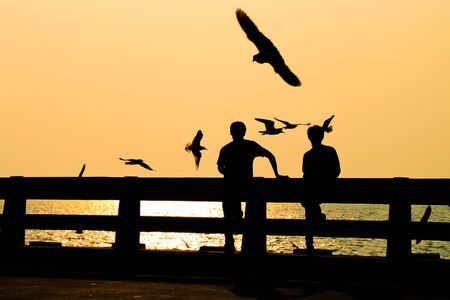 Silhouettes of traveler look at sea with seagull.の写真素材