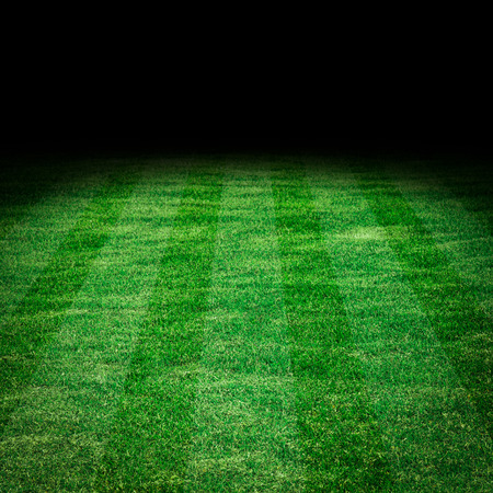 Soccer football field grass line background.の写真素材