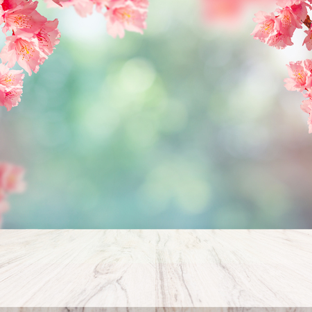 Fresh spring green with flower and floor. Beauty nature background. Cherry blossom on background.の写真素材