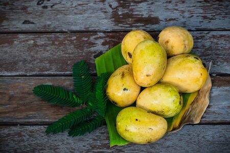 Yellow mango with wooden floorの写真素材