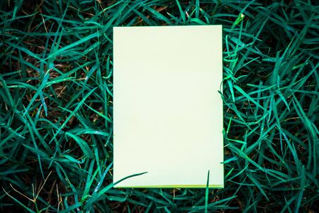 White paper with green leaf