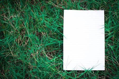 White paper in the pasture before sunset using the background or wallpaper.の写真素材