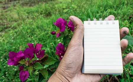 White paper flower backdrop used for note taking.の写真素材