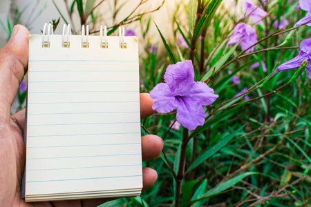 White paper flower backdrop used for note taking.の写真素材