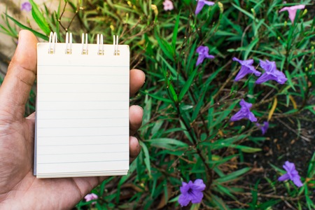 White paper flower backdrop used for note taking.の写真素材