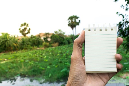 White paper tree backdrop used for note taking.の写真素材