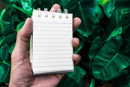 Hold white paper for notes on the background of blurred trees using wallpaper or background.の写真素材