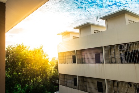 Sunlight behind the tree in the buildingの写真素材