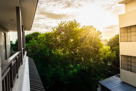 Sunlight behind the tree in the building