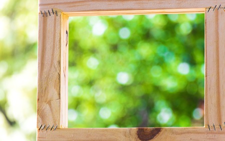 Picture frame on blurred tree backgroud using wallpaper or background.の写真素材