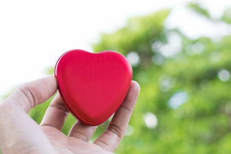 Men holding heart shaped box red color  on  tree blury background.  using wallpaper or background for care photo.の写真素材