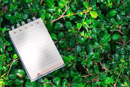 Notepad on tree blurry background in garden.using wallpaper or background for education, business photo. Take note of the product for book with paper and concept or copy space and note.の写真素材