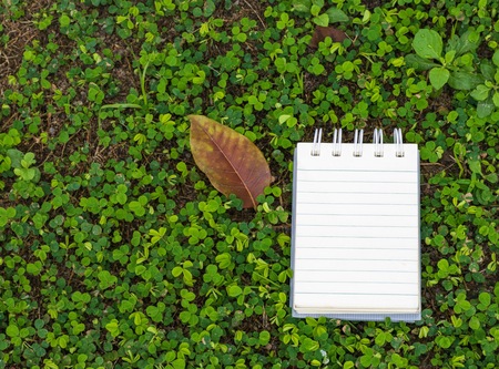 Notepad with pencil on wood board and tree blurry background. using wallpaper or background for education, business photo. Take note of the product for book with paper and concept or copy space and note.の写真素材