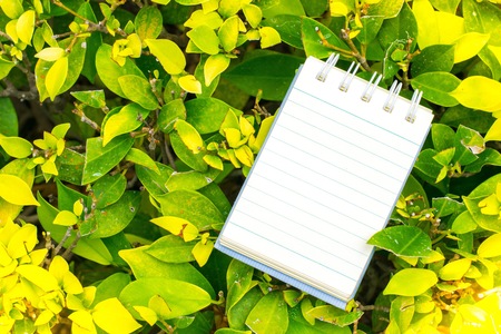 Notepad with pencil on wood board and tree blurry background. using wallpaper or background for...