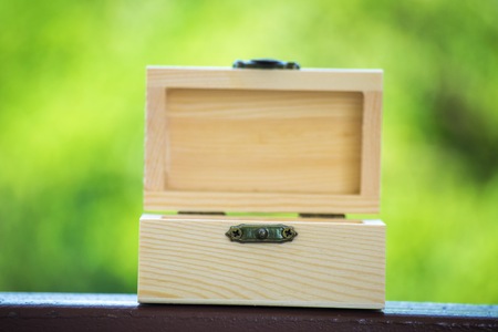 Box wood on bokeh tree blurred background. using wallpaper or background for object, package or product image.の写真素材