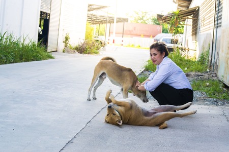 Asian women playing with dogs in the house. Using wallpaper or background to use image style...