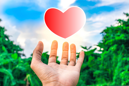 holding heart vector on tree blurry background.using wallpaper or background for education, business photo. Take note of the product. this lover or caring and take care image and concept or copy space.の写真素材