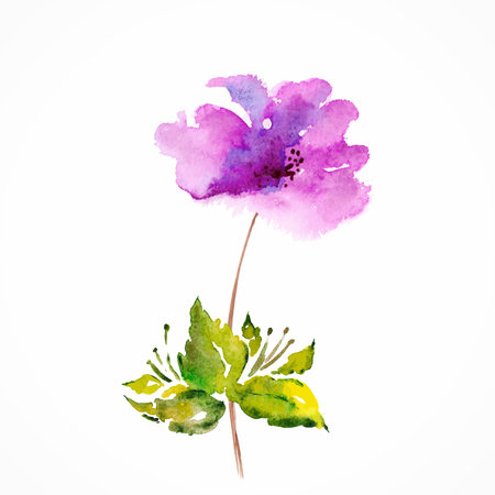 Red flower  Watercolor floral illustration  Floral bouquet  Vector floral background  Birthday card のイラスト素材