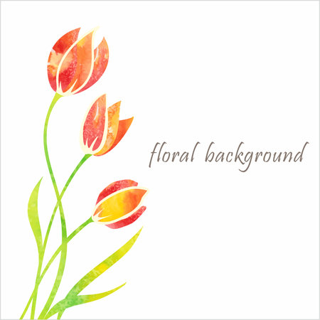 Bouquet of tulips  Floral background  Birthday card のイラスト素材