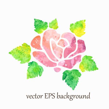 Rose  Postcard with floral element のイラスト素材