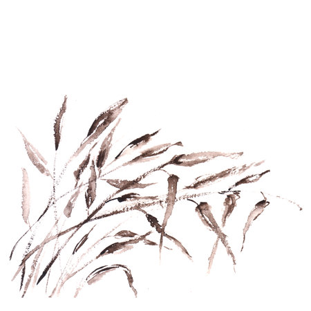 Floral background  Bamboo branches  Grassの写真素材