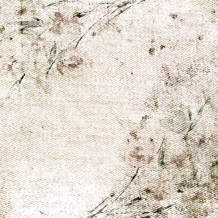 Grunge floral background  Old texture  Floral card for scrapbooking の写真素材