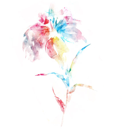 Single flower. Lily. Japanese paint.の写真素材