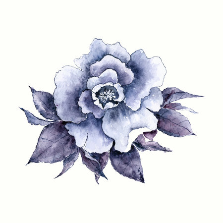 Vintage rose. Watercolor flower. Hand drawn flower.のイラスト素材