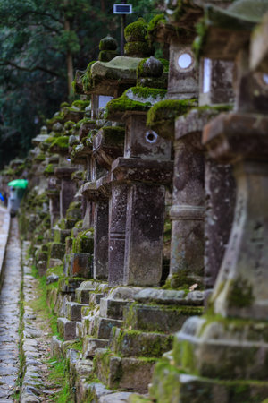Stone Lantern at kasuga-taisha , Nara in Japanの写真素材