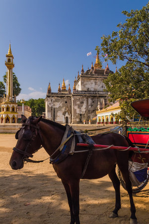 Horse cart and Pagoda,  Bagan in Myanmar  Burmar の写真素材