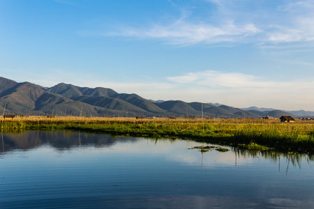 Floating Farm,  inle lake in Myanmar  Burmar の写真素材