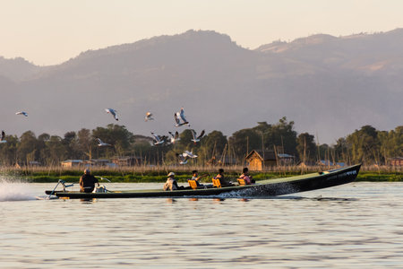Bird and Long Tail Boat ,   inle lake in Myanmar  Burmar のeditorial素材
