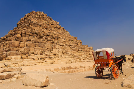 horse cart at giza pyramid in cairo, egyptの写真素材