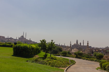 Citadel and City View of cairo in egypt