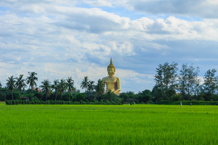 Ancient Big Buddha Image in the Field at Muang Temple , Ang Thong in Thailandの写真素材