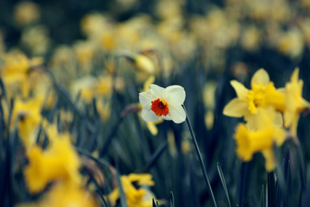 Alone in Crowdの写真素材