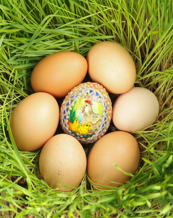 Colored egg between unpainted eggs put in nest