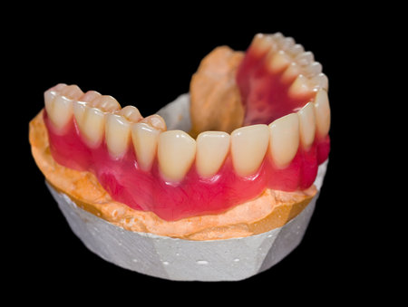 Artificial lower denture on isolated  black backgroundの写真素材