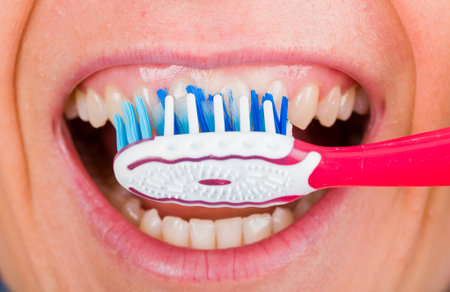 Close up photo of tooth cleaning with toothbrushの写真素材
