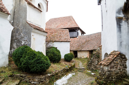 Old buildings and boxwood bushes on yardの写真素材
