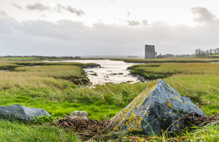Photo of Carrigafoyle castle in Ireland from afarの写真素材