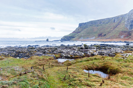 Photo of Giants Causeway coast in Irelandの写真素材