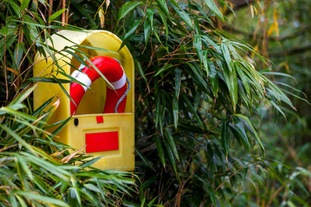 Photo of a life buoy on the beach