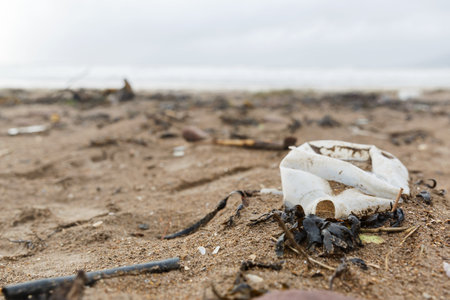 Close up photo of a plastic bottle litter on the beach
